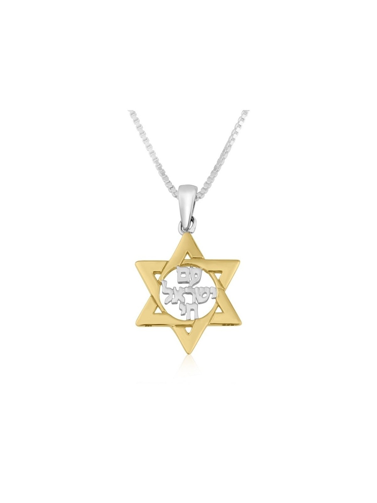 תליון שרשרת מגן דוד עם ישראל חי מצופה זהב